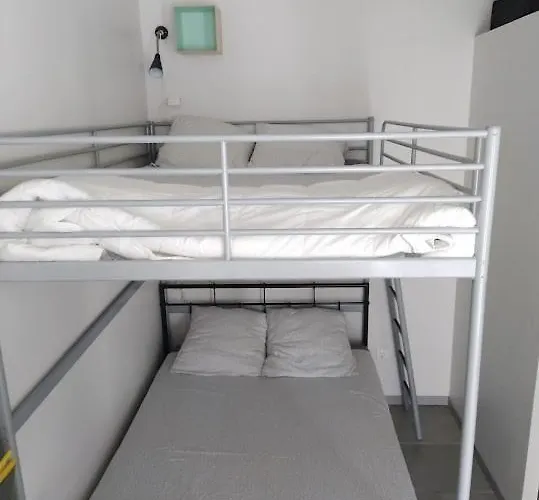 Le Medocain * Cussac-Fort-Medoc